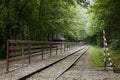 railway in the forest, summer in the rainforest