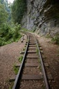 railway in the forest, summer in the rainforest