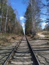 A railway that goes into the forest. Perspective Royalty Free Stock Photo