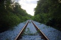 Railway goes to horizon in green landscape