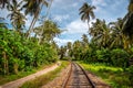 Railway going through tropical forest, palm trees Royalty Free Stock Photo