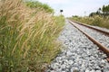 Railway and Grassy of Grass. Royalty Free Stock Photo