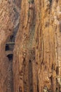 The railway through the Guadalhorce gorge peeping between two tunnels