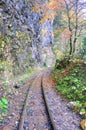 Railway in the Guam Gorge. Mezmay, Russia Royalty Free Stock Photo