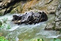 Railway in Guam gorge on one side of the rocks, the other a deep precipice and seething fast river Royalty Free Stock Photo