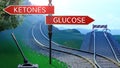 Railway Turnout Ketones/Glucose Royalty Free Stock Photo