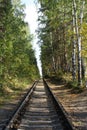 Railway landscape. The old railway in autumn forest. single-track railroad in the green forest Royalty Free Stock Photo