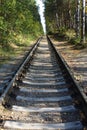 Railway landscape. The old railway in autumn forest. single-track railroad in the green forest Royalty Free Stock Photo