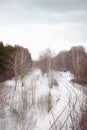 Railway is leading to the perspective among leafless trees. Some bushes and birches are on the foreground. White cloudy sky is on