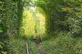 Railway line makes a right turn and hides in the trees. Tunnel of love - wonderful place created by nature