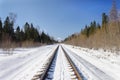 Railway line in winter forest