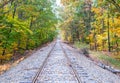 Railway lines through uatumn colored forest at Bears Notch on Kancamagus Highway