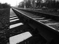 Railway or railroad tracks for train transportation goes into the distance Royalty Free Stock Photo