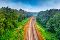 The railway runs through the forest. Empty tracks at sunset or dawn. Royalty Free Stock Photo