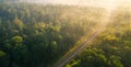 The railway runs through the forest. Empty tracks at sunset or dawn. Royalty Free Stock Photo