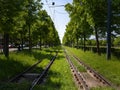 The railway runs through thickets of green trees and bushes. Royalty Free Stock Photo