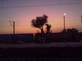 railway station tree,sky, light, evening time, Royalty Free Stock Photo