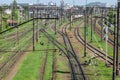 The railway station on which there are many freight trains and wagons Royalty Free Stock Photo