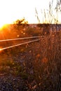 Railway at sunset Royalty Free Stock Photo