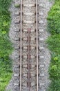 railway top view with green plant Royalty Free Stock Photo