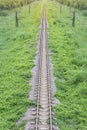 railway top view with green plant Royalty Free Stock Photo