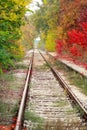 Railway track with beautiful natural environment and phenomenal autumn colorful leaves on trees in background. Autumn landscape. Royalty Free Stock Photo