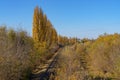 Railway track in the contrasting autumn sun. Background with copy space for text Royalty Free Stock Photo