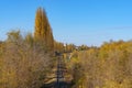Railway track in the contrasting autumn sun. Background with copy space for text Royalty Free Stock Photo