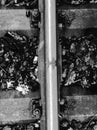 Railway track detail from above and autumn leafs in black and white Royalty Free Stock Photo