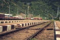 Railway track with freight trains and nature