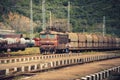 Freight trains at a railway station with details of wagons