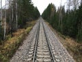 Railway track in the middle of the forest Royalty Free Stock Photo