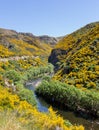 Railway track up Taieri Gorge New Zealand