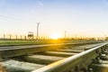 Railway tracks in Auschwitz Birkenau Concentration Camp, Poland Royalty Free Stock Photo