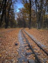 Railway tracks in the autumn forest. Natural background. Royalty Free Stock Photo