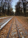 Railway tracks in the autumn forest. Natural background. Royalty Free Stock Photo