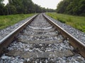 Railway tracks and beautiful nature, trees and forest Royalty Free Stock Photo