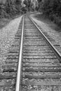 Railway Tracks Royalty Free Stock Photo