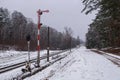 Railway tracks crossing the winter forest Royalty Free Stock Photo