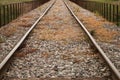 Railway tracks disappearing into the horizon. Concept of means of transport Royalty Free Stock Photo