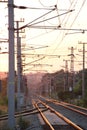 Railway Tracks in Evening Sun Royalty Free Stock Photo