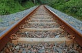 Railway tracks flanked by coastal vegetation.