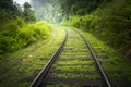 Railway tracks in green countryside Royalty Free Stock Photo