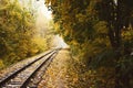 Railway tracks landscape running through autumn forest Royalty Free Stock Photo