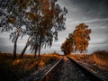 Railway tracks in the middle of the forest and field with trees in autumn Royalty Free Stock Photo