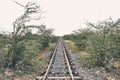 Railway Tracks in the middle of Nowhere Royalty Free Stock Photo