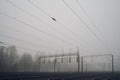 Railway tracks and overhead wires in heavy fog Royalty Free Stock Photo