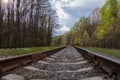 Railway tracks receding into the distance in the forest against the backdrop of a cloudy sky Royalty Free Stock Photo