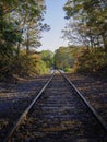 Railway tracks running through the beautiful autumn forest with brown fallen leaves on the ground Royalty Free Stock Photo