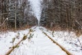 The railway tracks stretch away into the distance surrounded by a snow covered forest Royalty Free Stock Photo